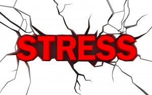 Stress regime paleo